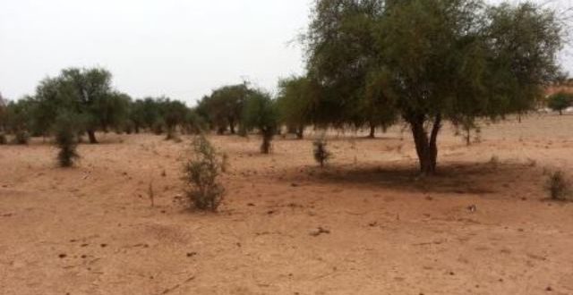 Niger: des soldats nigériens et américains tués à la frontière du Mali